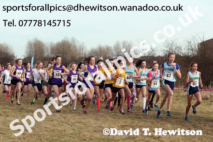 Inter Counties Schools Cross Country, Temple Park, South Shields. Photo: David T. Hewitson/Sports for All Pics